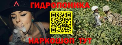 шишки Донецк