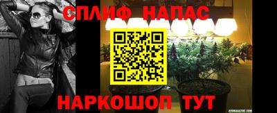 гидропоника Дубна