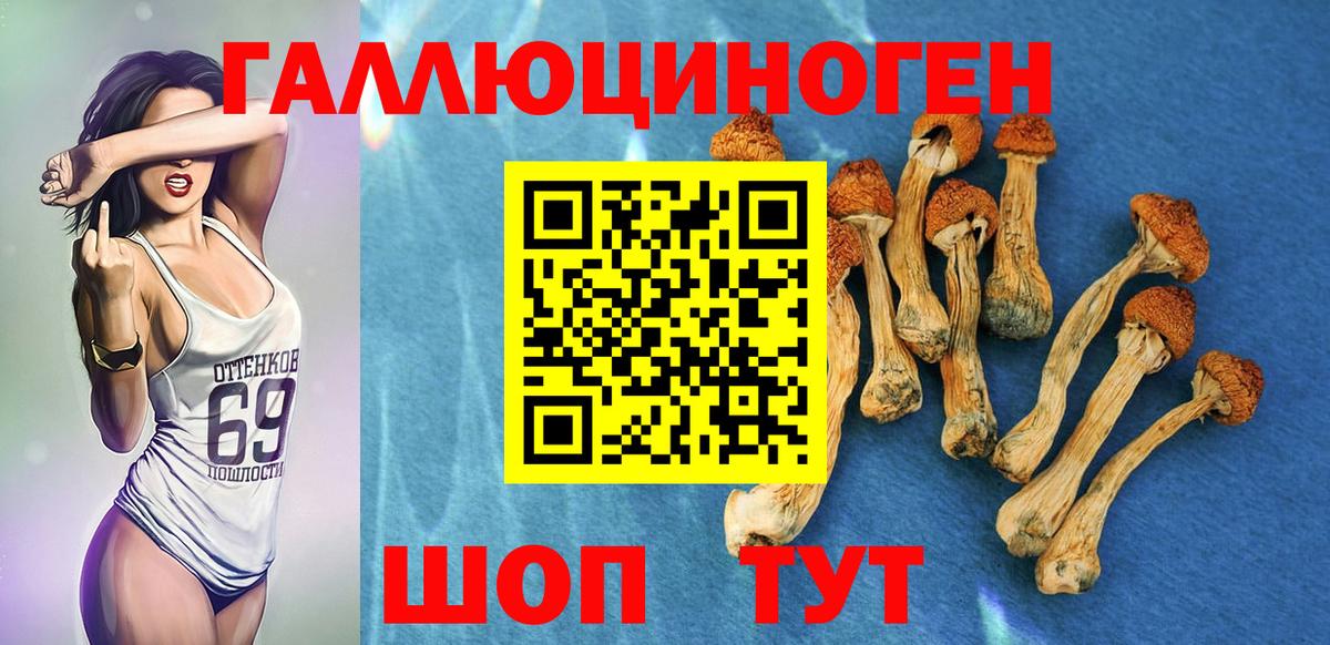 магазин    Псилоцибиновые грибы Psilocybe  Вход с VPN  Менделеевск 